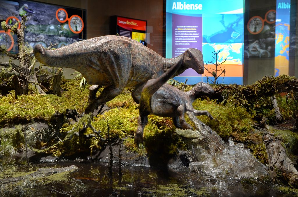 Reconstrucción paleoecológica (diorama) del Albiense en la zona de Ariño