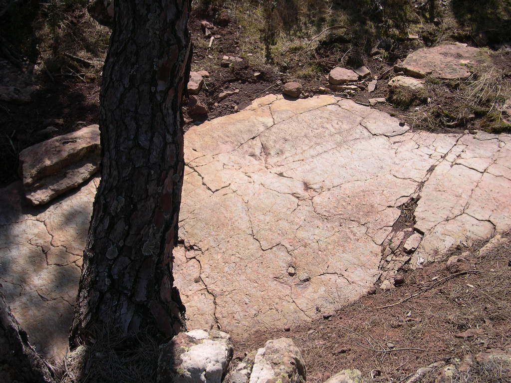 El Hoyo, El Castellar