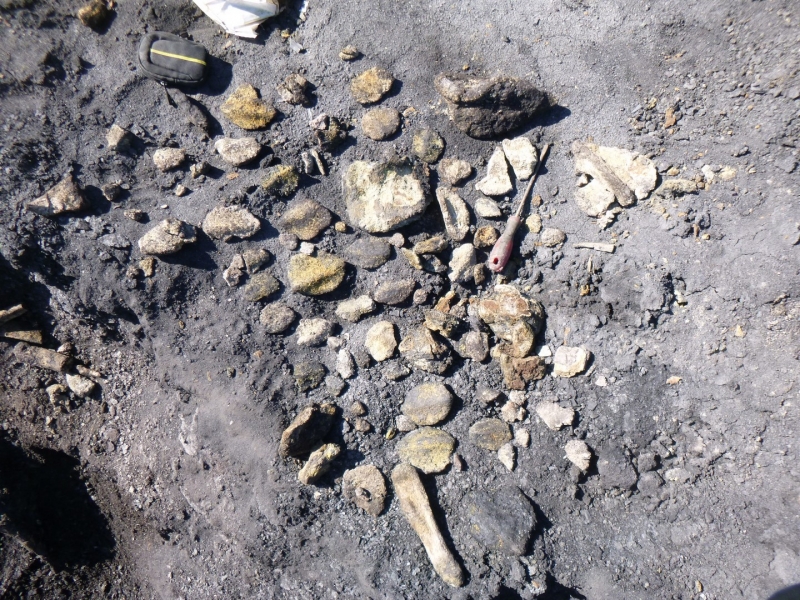 Galería excavaciones en el yacimiento de Ariño.