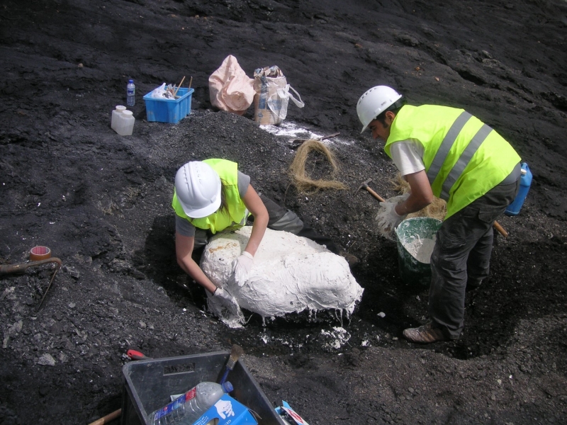 Galería excavaciones en el yacimiento de Ariño.