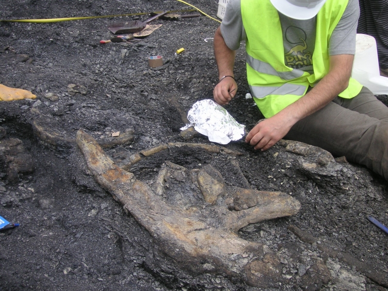 Galería excavaciones en el yacimiento de Ariño.