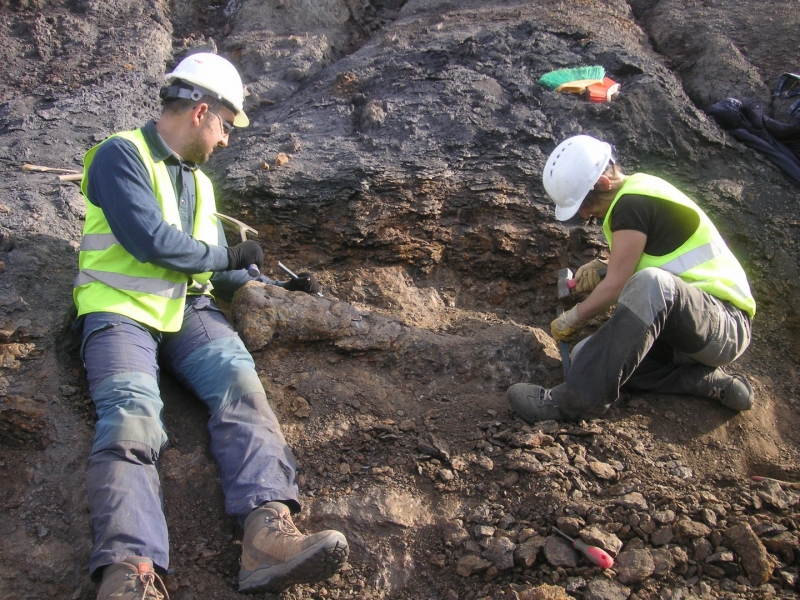 Galería excavaciones en el yacimiento de Ariño.