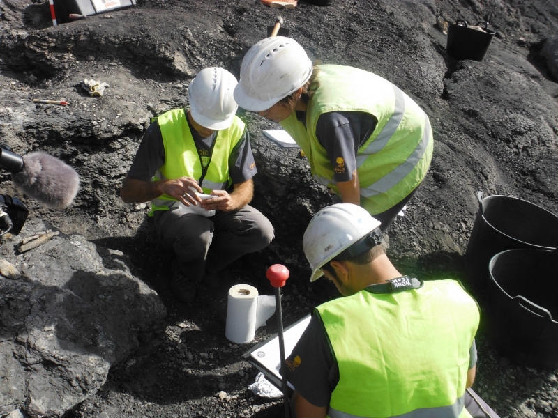 Galería excavaciones en el yacimiento de Ariño.