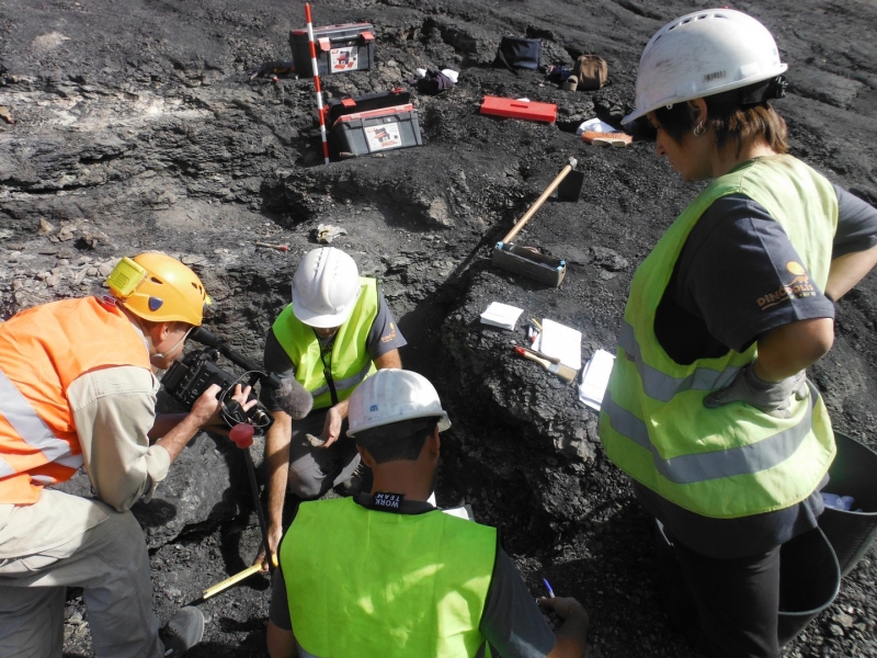 Galería excavaciones en el yacimiento de Ariño.