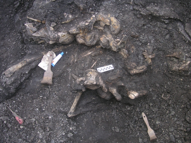 Galería excavaciones en el yacimiento de Ariño.