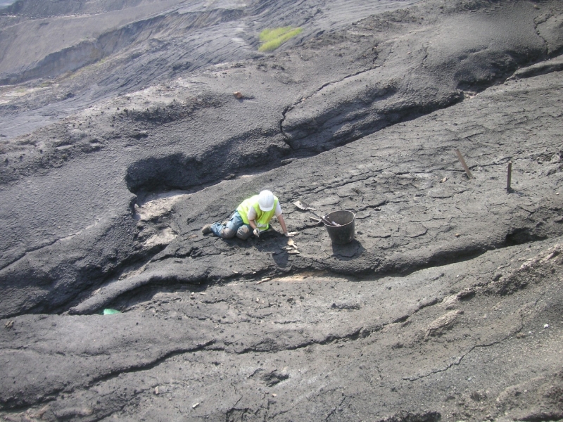 Galería excavaciones en el yacimiento de Ariño.