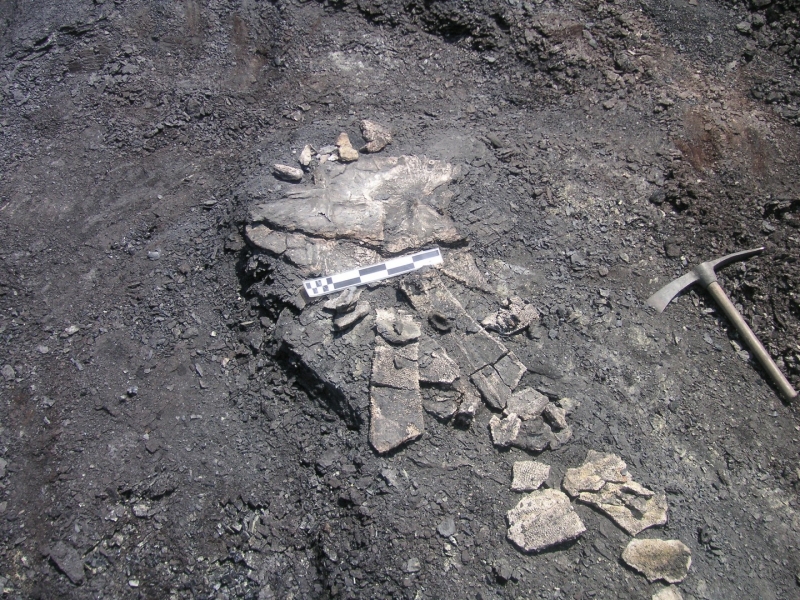 Galería excavaciones en el yacimiento de Ariño.