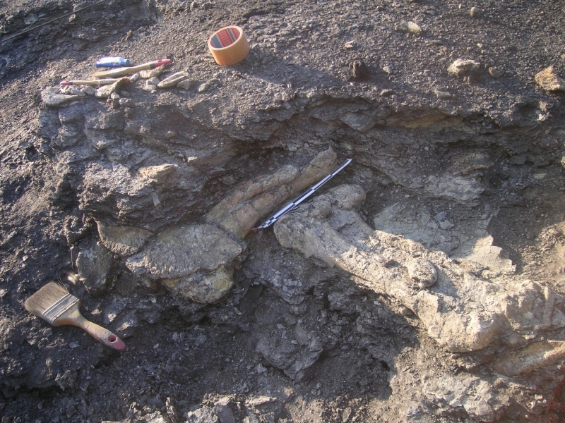 Galería excavaciones en el yacimiento de Ariño.