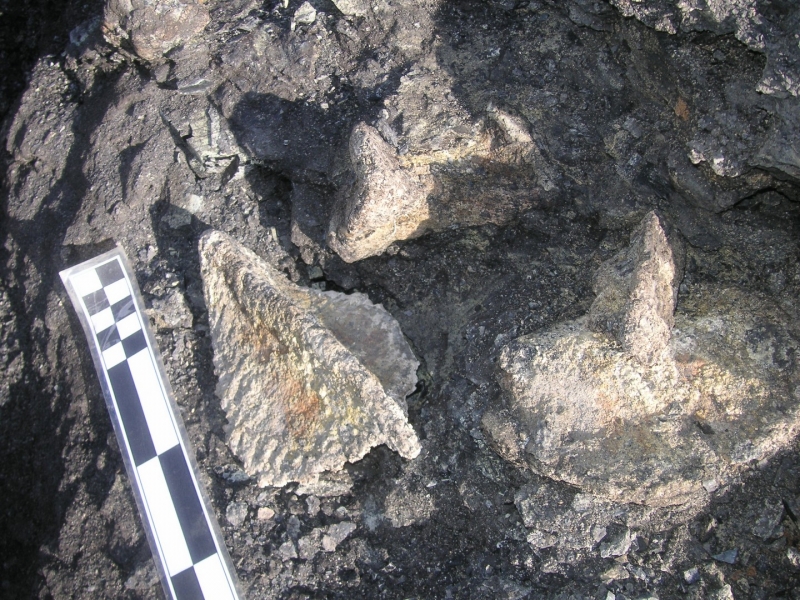 Galería excavaciones en el yacimiento de Ariño.