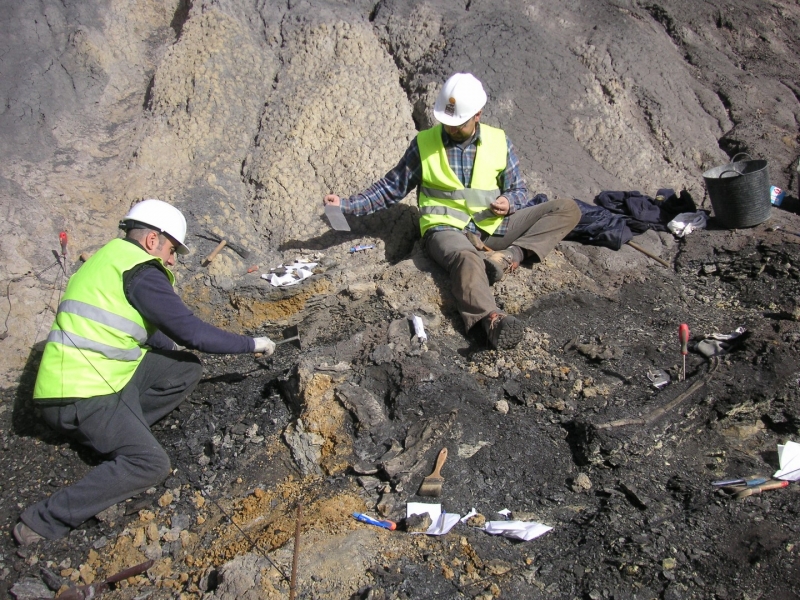 Galería excavaciones en el yacimiento de Ariño.