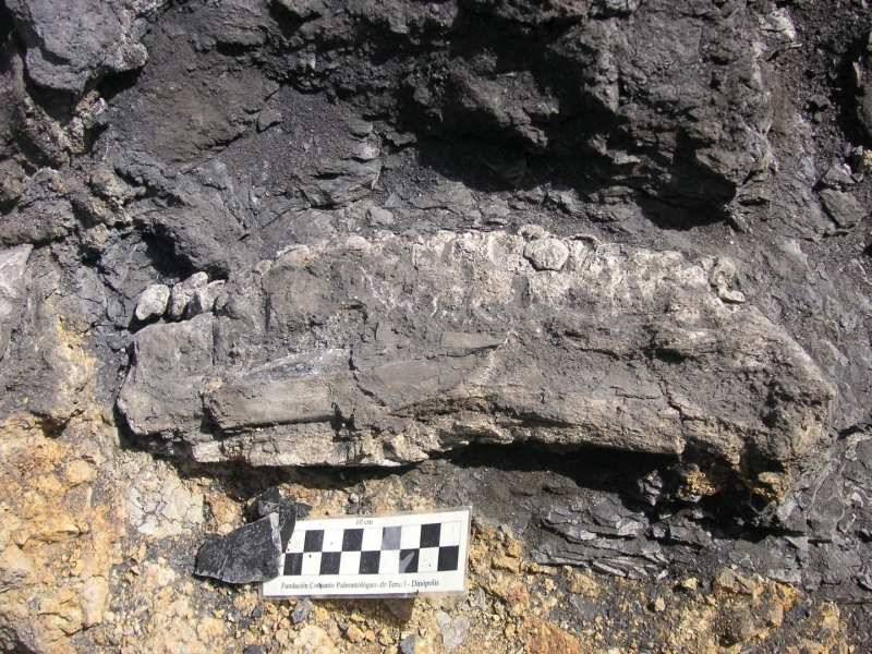 Galería excavaciones en el yacimiento de Ariño.