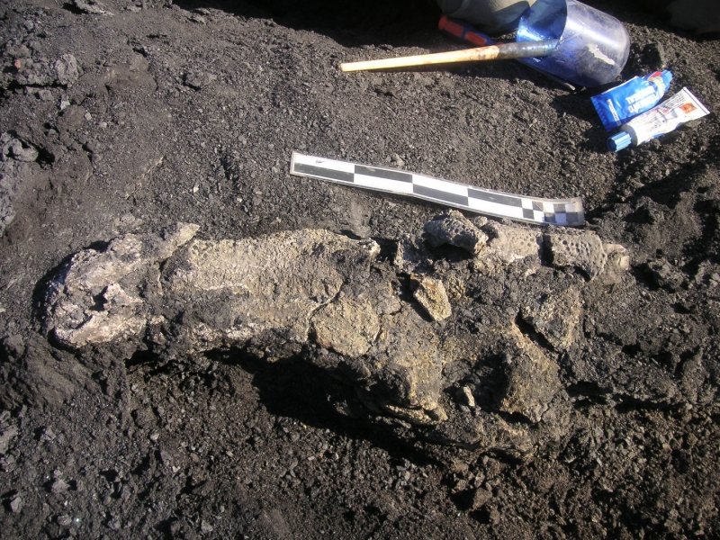 Galería excavaciones en el yacimiento de Ariño.