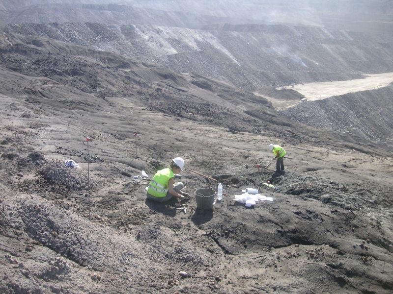 Galería excavaciones en el yacimiento de Ariño.