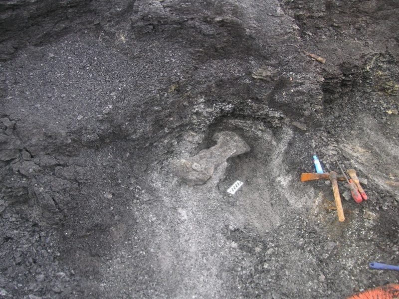 Galería excavaciones en el yacimiento de Ariño.