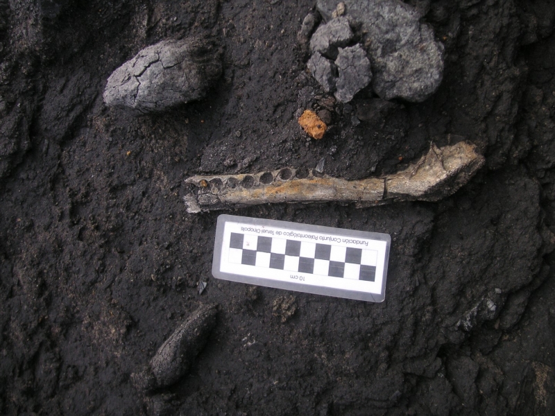 Galería excavaciones en el yacimiento de Ariño.