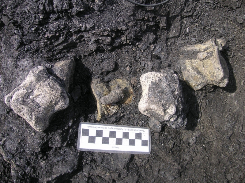 Galería excavaciones en el yacimiento de Ariño.