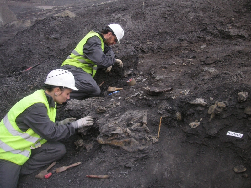 Galería excavaciones en el yacimiento de Ariño.