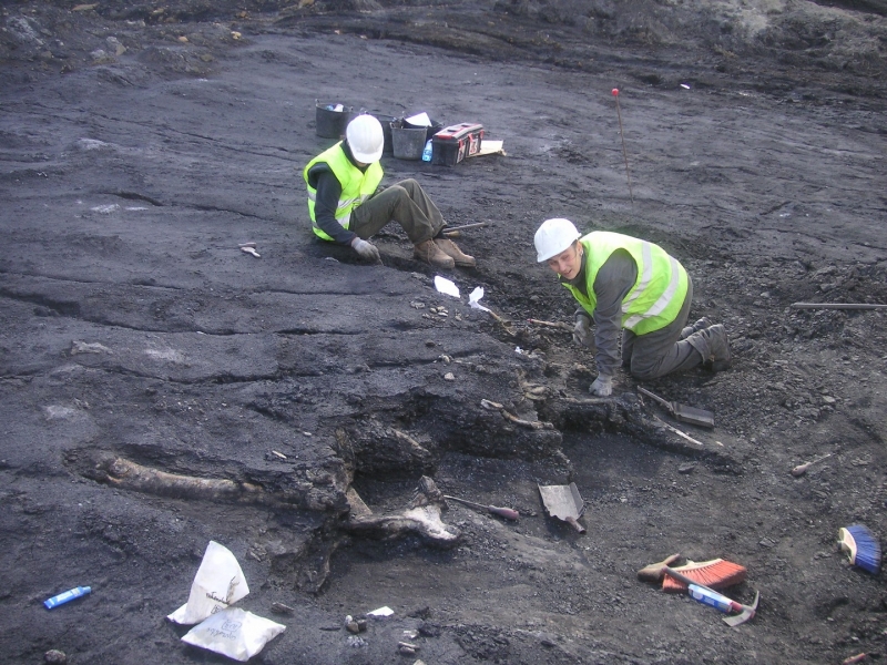 Galería excavaciones en el yacimiento de Ariño.