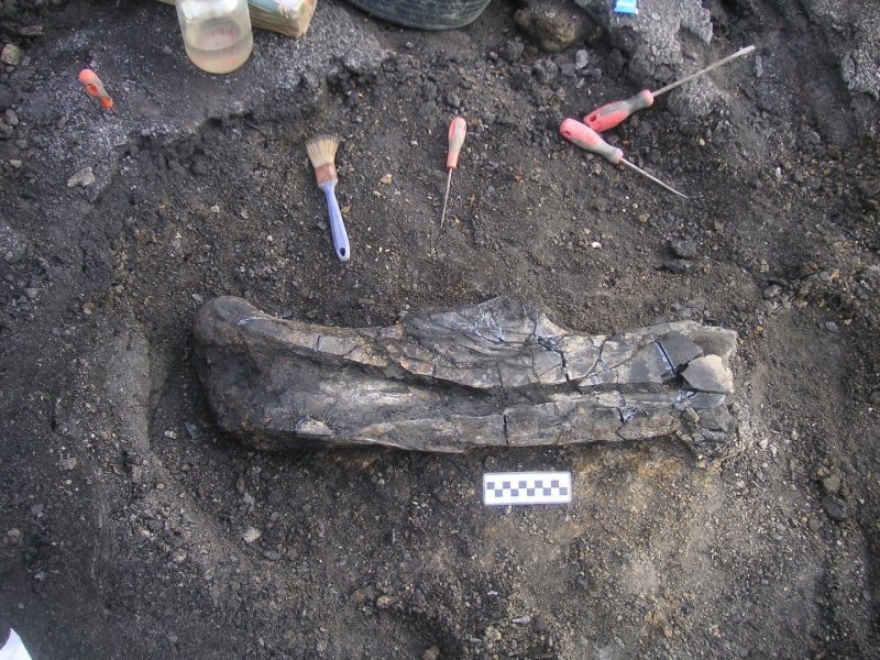 Galería excavaciones en el yacimiento de Ariño.