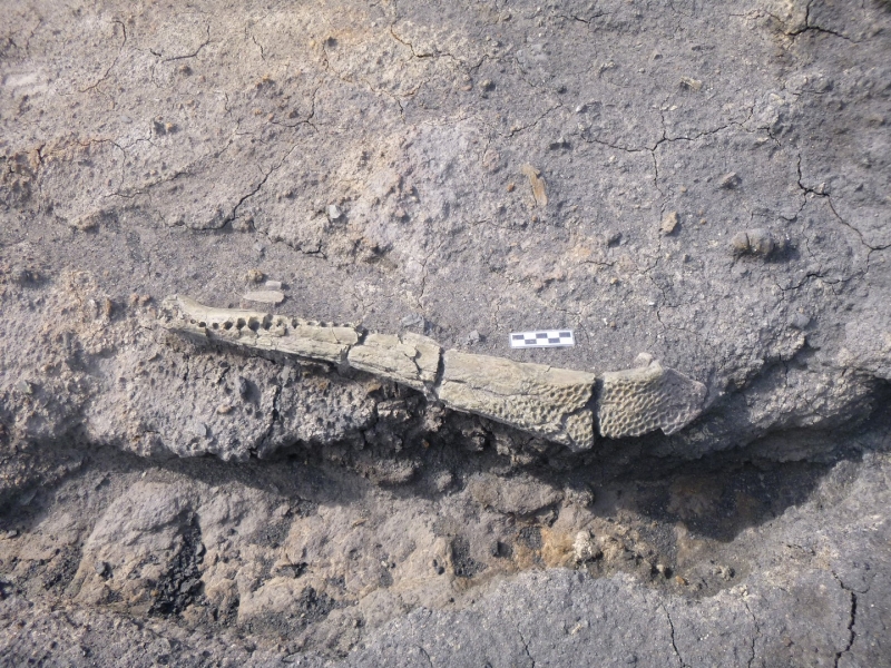 Galería excavaciones en el yacimiento de Ariño.