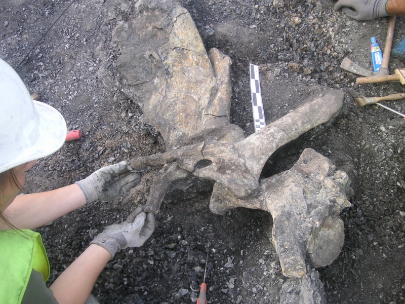 Galería excavaciones en el yacimiento de Ariño.