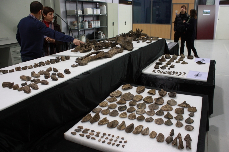 Galería excavaciones en el yacimiento de Ariño.