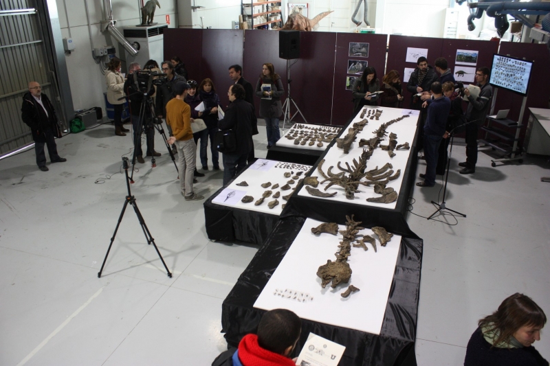 Galería excavaciones en el yacimiento de Ariño.