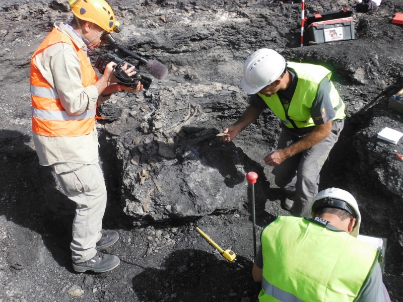 Galería excavaciones en el yacimiento de Ariño.