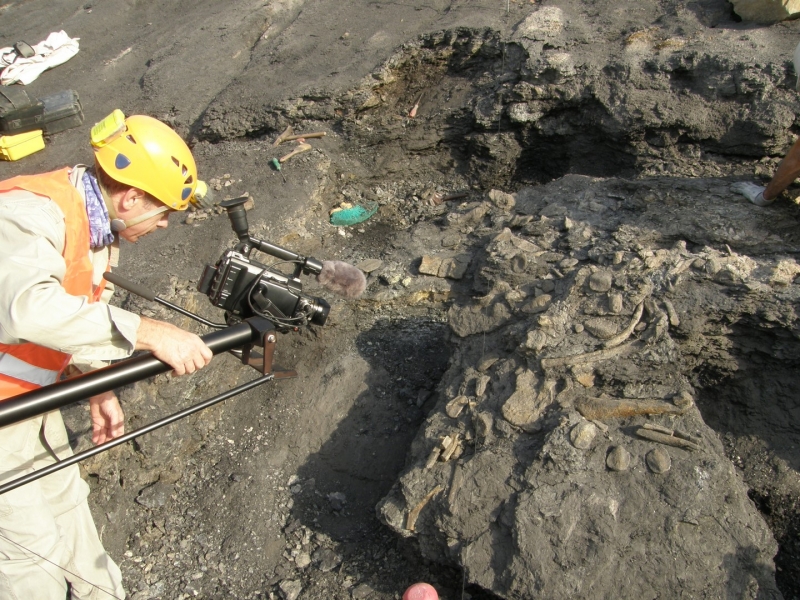 Galería excavaciones en el yacimiento de Ariño.