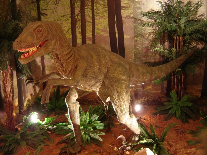 Reproducción dromeosaurio